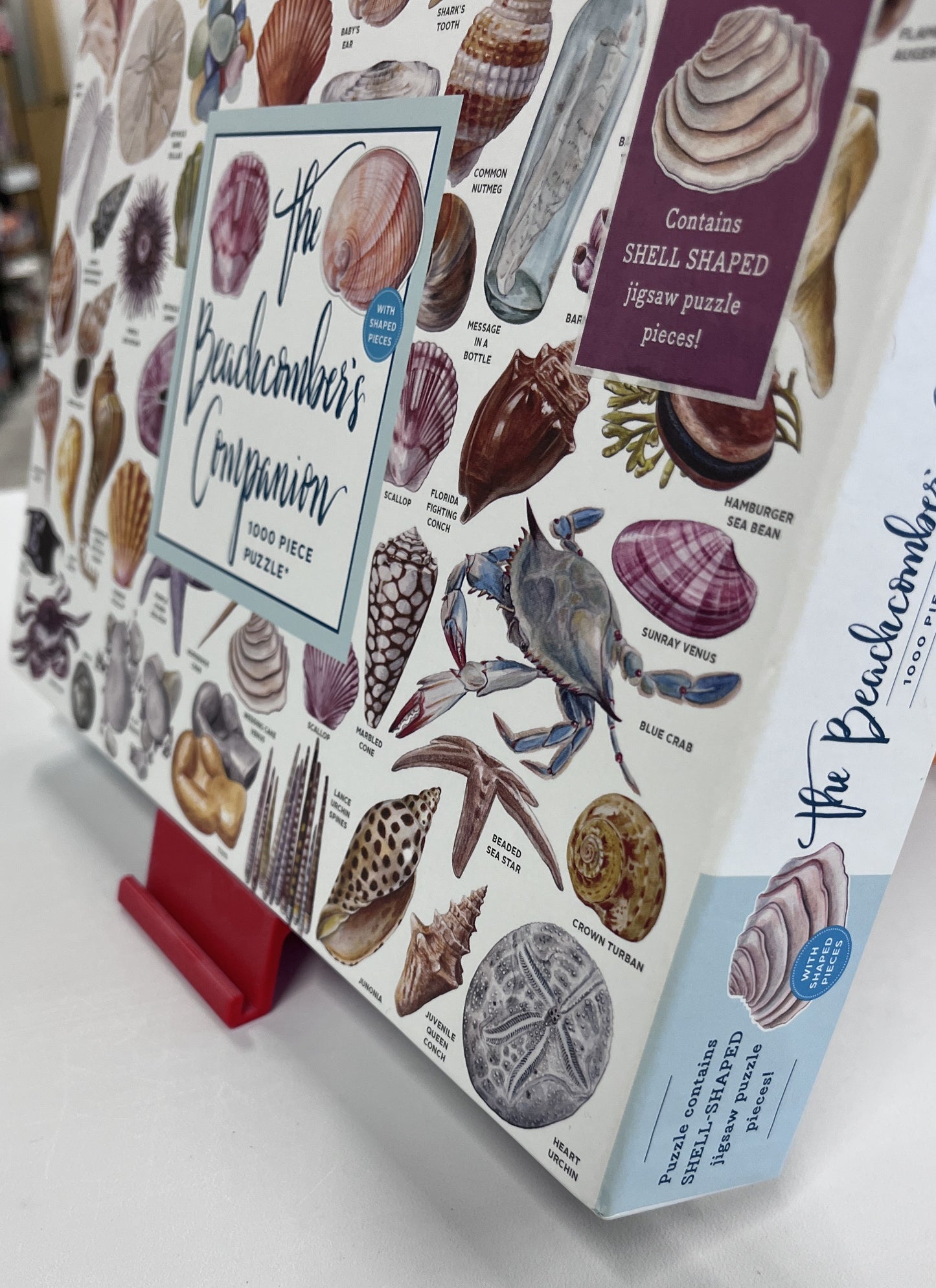 The Mind Quest Stay & Play Bundle