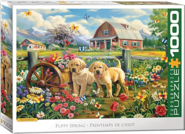 Puppy Spring - Eurographics