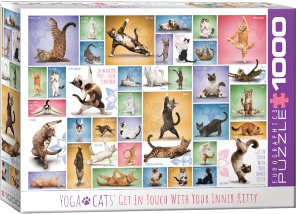 Yoga Cats - Eurographics