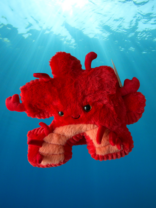 8.5" Crab Pluzzle Plushie - Sealife Collection