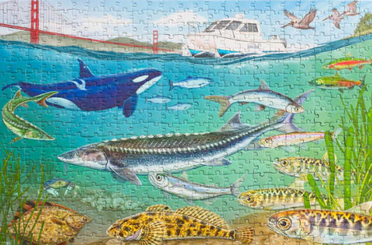 Under the Bay - Oakland Puzzle Co.