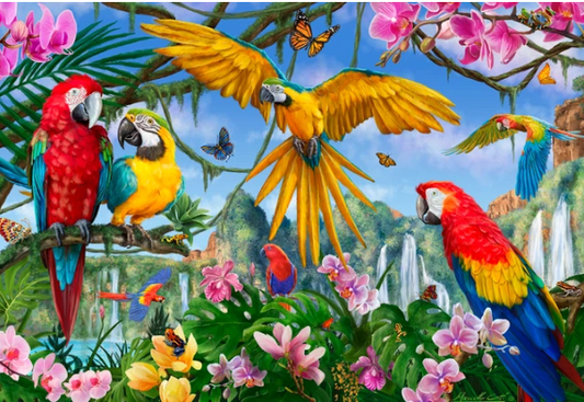 Tropical Birds - Vermont Christmas Co
