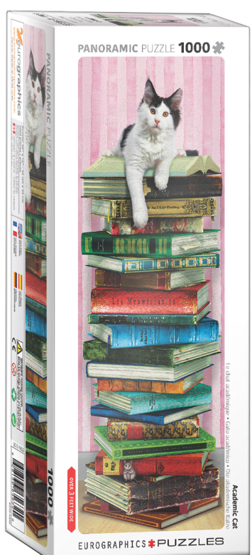 Academic Cat - Eurographics