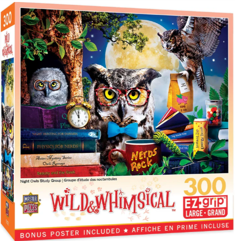 WIld & Whimsical - Night Owls Study Group - MasterPieces