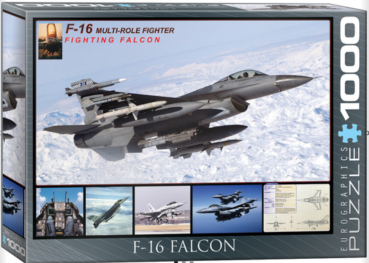 F-16 Fighting Falcon - Eurographics