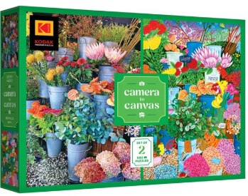 Kodak Camera to Canvas 2 x 500 - RoseArt