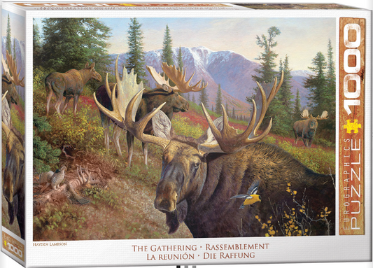The Gathering - Eurographics