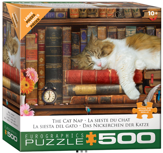 The Cat Nap - Eurographics