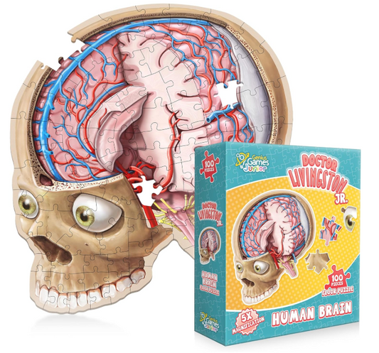 Human Brain - Doctor Livingston Jr. - Genius Games