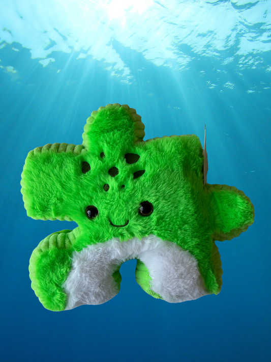8.5" Turtle Pluzzle Plushie - Sealife Collection
