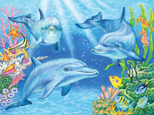 Dolphin Cove - Heritage
