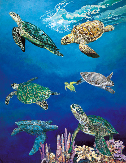 Majestic Sea Turtles - Heritage
