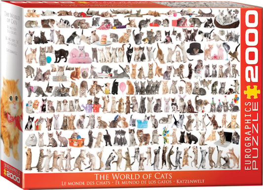The World of Cats - Eurographics