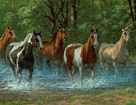 Summer Creek - Springbok