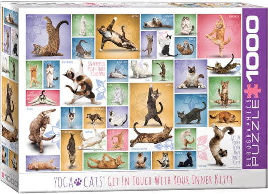 Yoga Cats - Eurographics