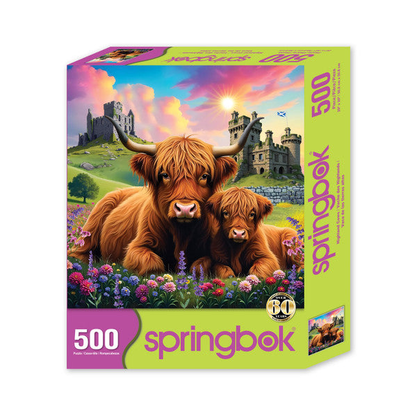 Highland Cows - Springbok