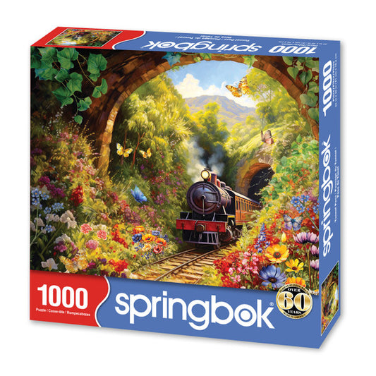 Tunnel Pass - Springbok