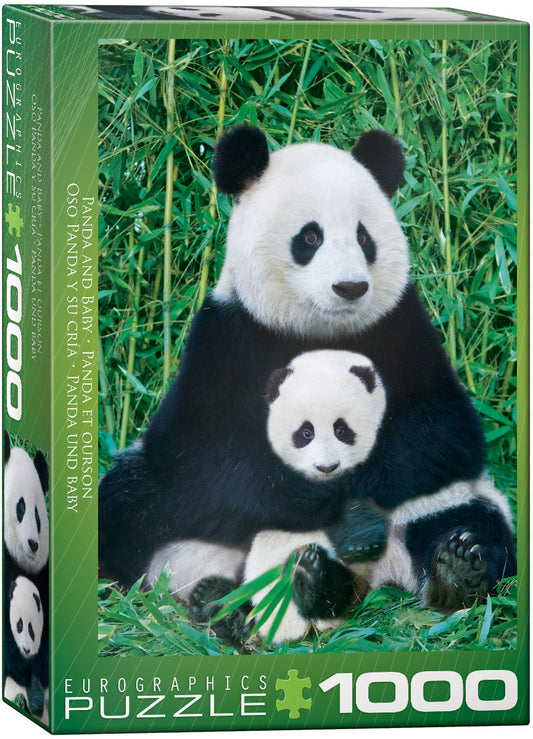 Panda and Baby - Eurographics