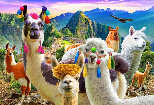 Mountain Llamas - Vermont Christmas Co