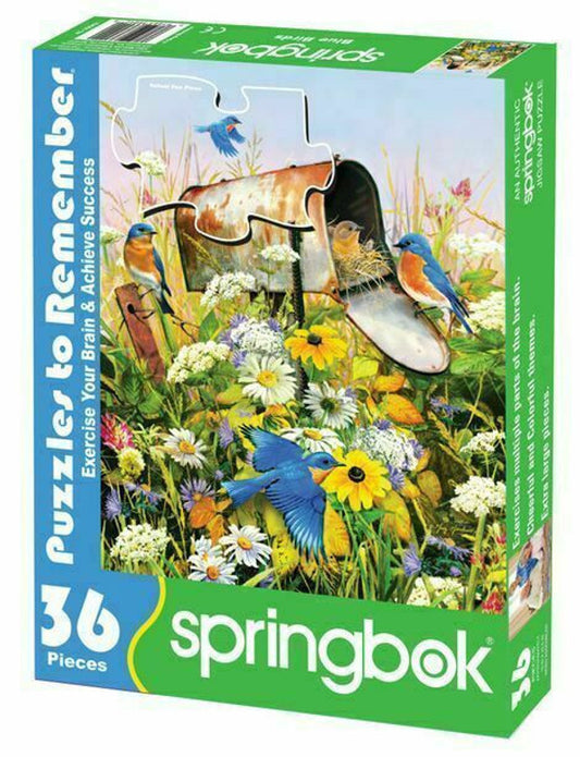Bluebird - Springbok