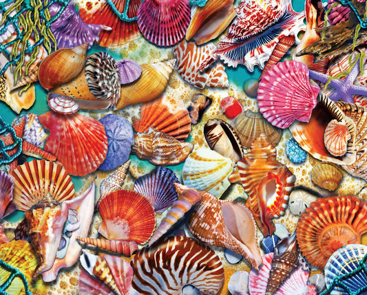Coastal Shells - Heritage