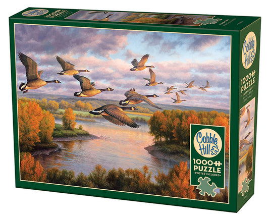 Migration - Cobble Hill Puzzle