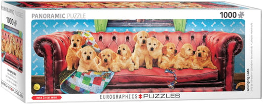Lounging Labs - Eurographics